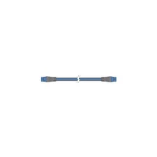 Raymarine A06068 Seatalk Ng 9M Backbone Cable A06068