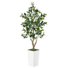 5FT Artificial Lemon Tree with Pot - 60" Fake Lemon Tree with White Tall Plan...