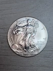 2013 American Silver Eagle 1 oz .999 Fine Silver Dollar Uncirculated