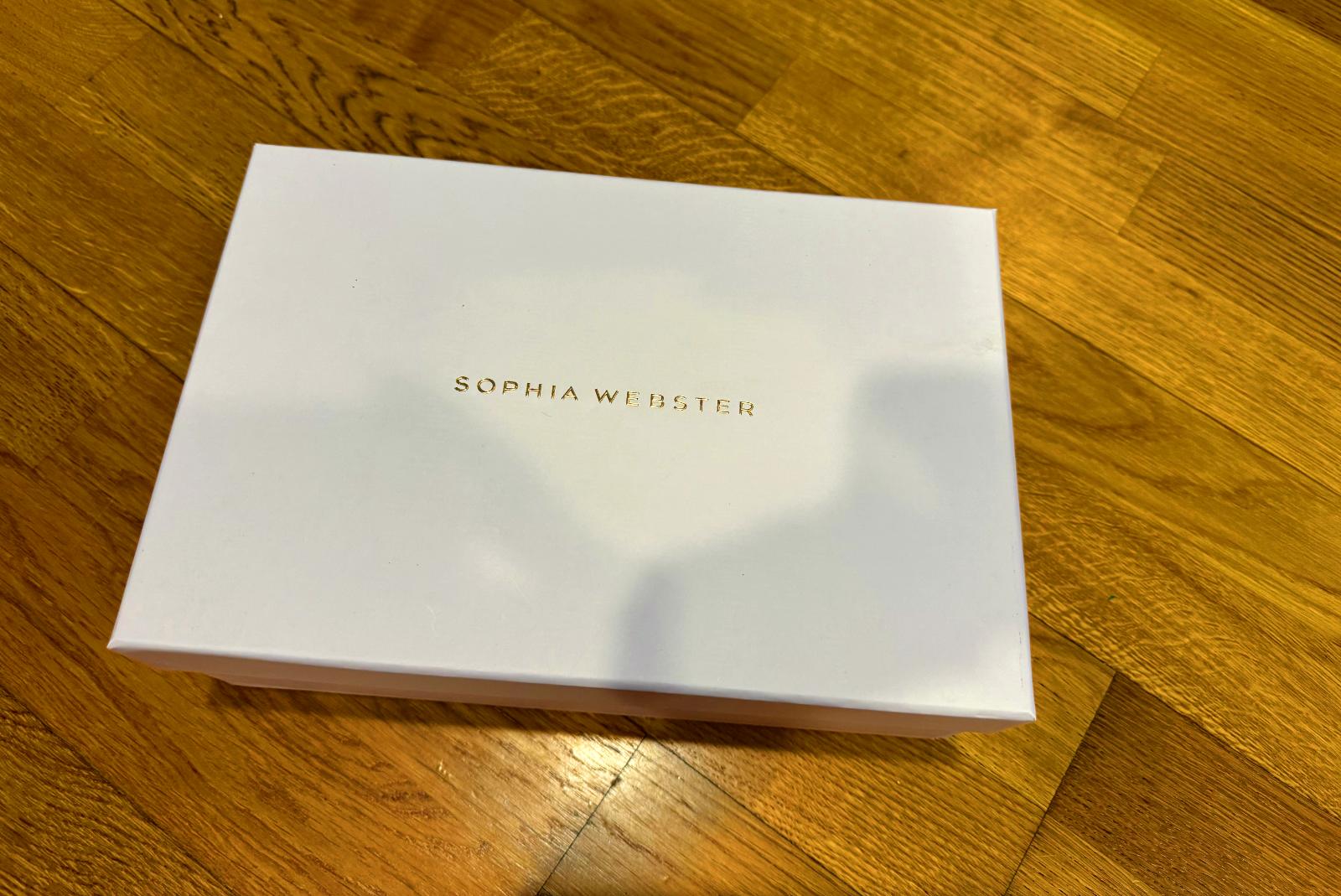 Sophia Webster Paloma Mule white SIZE 5.5