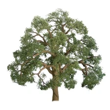 JTT Scenery 94349 Professional Trees | N scale | Live Oak | 2" | 3 pack