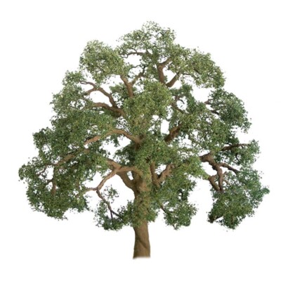 JTT Scenery 96043 Professional Tree | O scale | Live Oak | 5'' Pro | 1 per pack