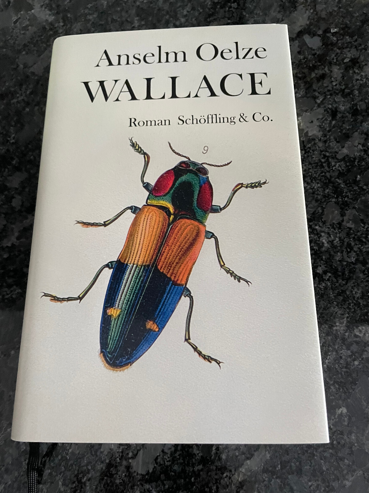 Thumbnail - Wallace; Roman Von Anselm Oelze (2019, Gebundene Ausgabe)
