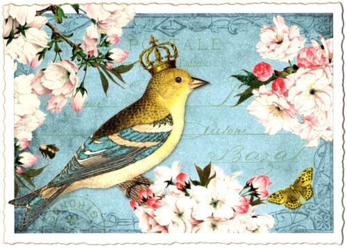 Edition Tausendschön | Postkarte A6 | Flora & Fauna | Motiv wählbar - Bild 28 von 78
