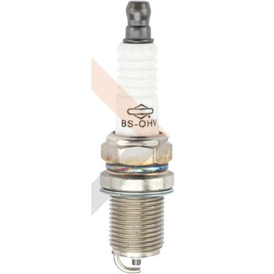 Briggs u. Stratton SPARK PLUG BS-OHV GARAGE 24 PACK  | 992340 | 4016153552170