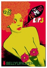 Scrojo The Flaming Lips 2016 Poster Belly Up Aspen Colorado FlamingLips_1612
