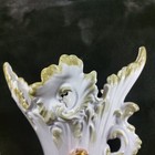 Picture 7 of 20