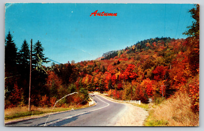 Colorful Fall Scene Vintage Postcard Handiwork of Jack Frost's Autumn