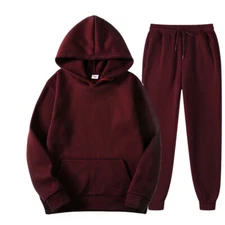 Men New 2 Piece Tracksuit Long Sleeve Hoodies Sweatshirt with Sweatpants Outfits