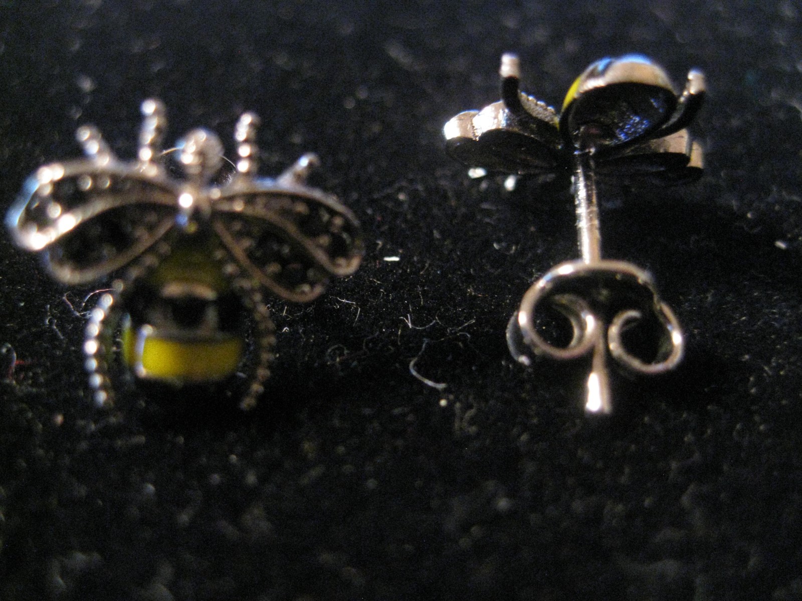 Picture 5 of 5