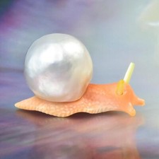 Süd Meer Barock Perle & Geschnitzter Aprikose Syrix Trompete Schale Schnecke