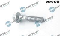 EINSPRITZDÜSEN-BEFESTIGUNGSSCHRAUBE FÜR Ford Mondeo 1.8TDCI 07-