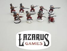 Wargames Atlantic: Les Grognards (painted) 