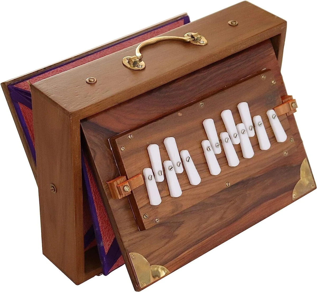 Mini on sale shruti box