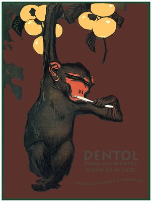 3035.Monkey brushing teeth POSTER.Brown.Dentist office art.Home decoration