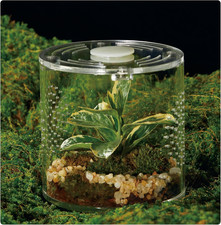 Acrylic Terrarium for Reptiles  Spiders,Leak-Proof Enclosure Small Round 