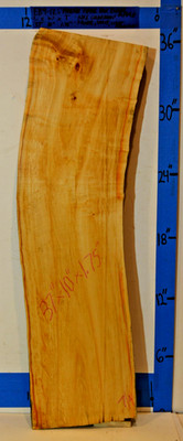 FIGURED Phoenix Flame BE Maple Live Edge GRADE 4 37x10x1.7 Dried & Planed EB9-12
