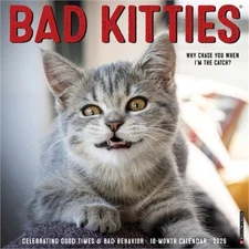 Bad Kitties 2026 12 X 12 Wall Calendar (Bookbook - Detail Unspecified)