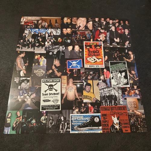 Teenage Bottlerocket – Stealing the Covers LP Purple Swirl Vinyl Signed - Picture 12 of 16