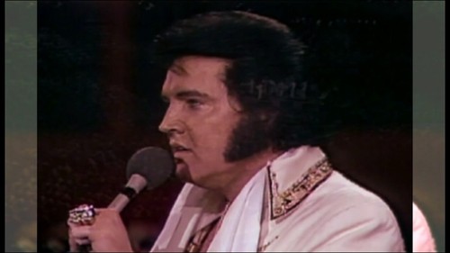 ELVIS PRESLEY - Ultimate 1977. (concerts) DVDs x4 - Afbeelding 17 van 18