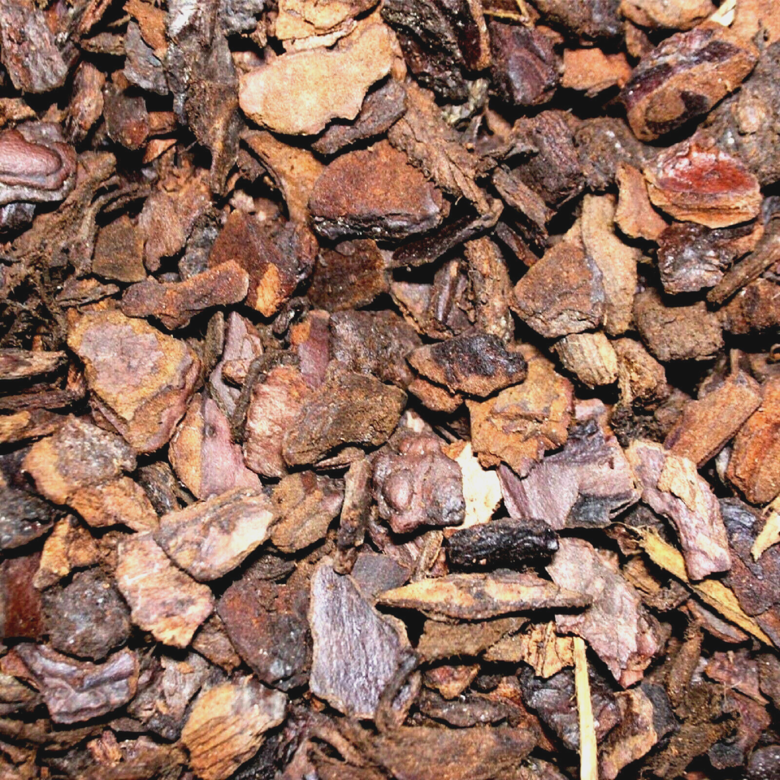 10L PETTEX ORCHID BARK SUBSTRATE : Tropical Reptile bp Snake Terrain Pet Bark