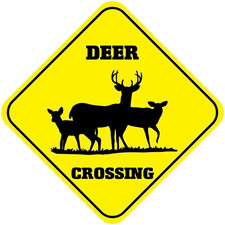 Deer Crossing Metal Sign Funny Novelty 12"x12" Wall Decor f/ Front Home Bar Yard