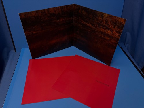 2019 Post Malone Hollywood's Bleeding Republic 2 LP Vinyl - Imagen 4 de 8