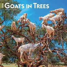 Goats In Trees Calendar 2026 - Humour - Month To View