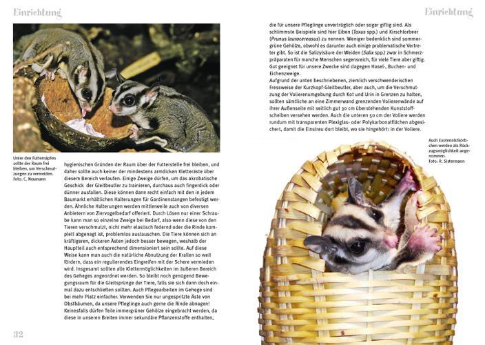 Thumbnail - Der Sugar Glider Peter Puschmann