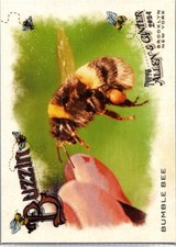 2024 Topps Allen & Ginter #BUZ-3 Bumble Bee Buzzin