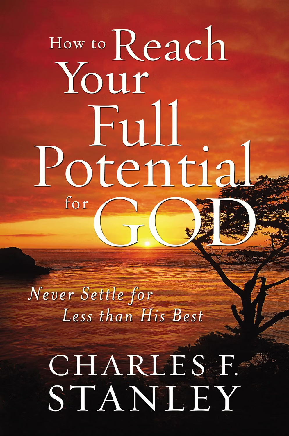 How to Reach Your Full Potential for God: Never Settle for Less than His Best - Image 4