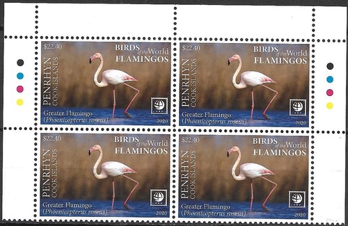 PENRHYN ISLAND - 2020 MNH "Aves acuáticas del mundo - FLAMENCOS" ¡Bloque de 4!!! - Imagen 4 de 5