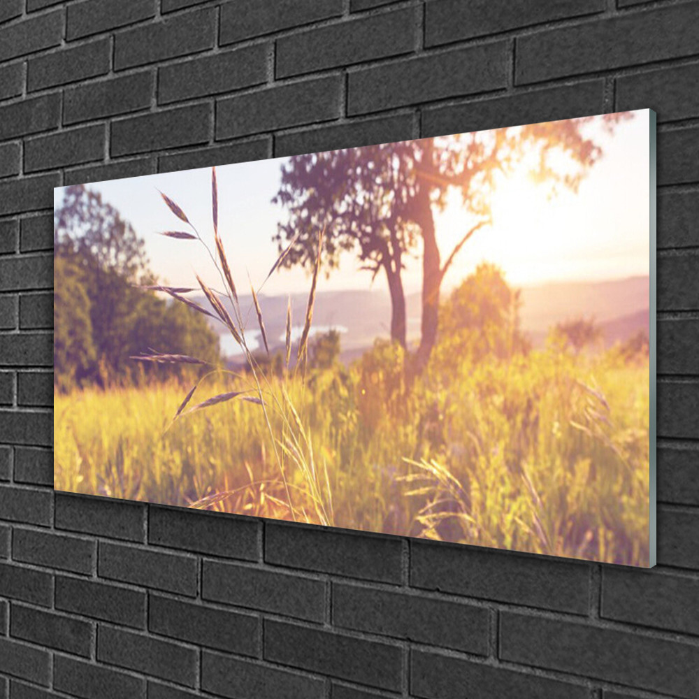 Tableau sur verre 100x50 nature pour agrandir visuellement une petite pièce