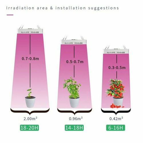 LED Grow Light Bulb Panel 40W Plant Growing Lamp w/ 240 LEDs Red Blue ...