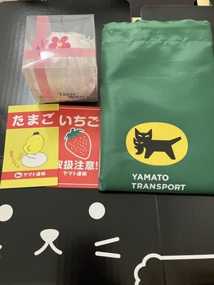 Seltenes Yamato Transport Expo Souvenir Set Katzenohr Box Tech World Handtuch