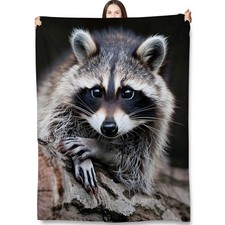 Raccoon Throw Blanket Gifts Kids Women Cute Animal Flannel Plush 50x60 Inch