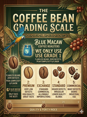 Extra Fancy Hawaiian Kona Coffee Beans Medium Roast Fresh Whole Bean Bulk 3 lbs