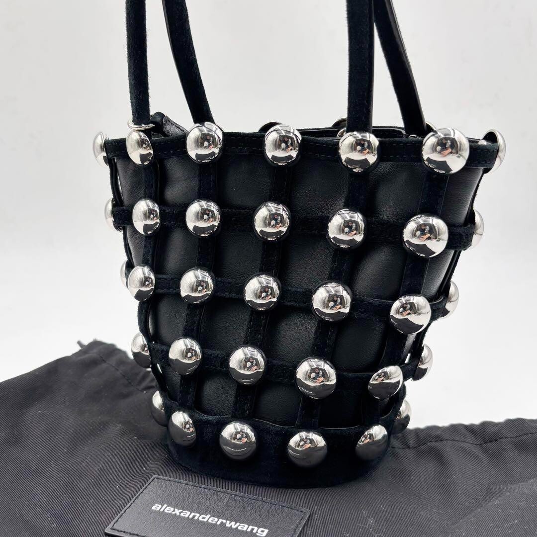 アレキサンダーワン　Roxy bucket bag Alexander Wang Black Crystal Roxy Mini Bucket Bag | eBay