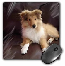 3dRose Rough Collie Puppy MousePad