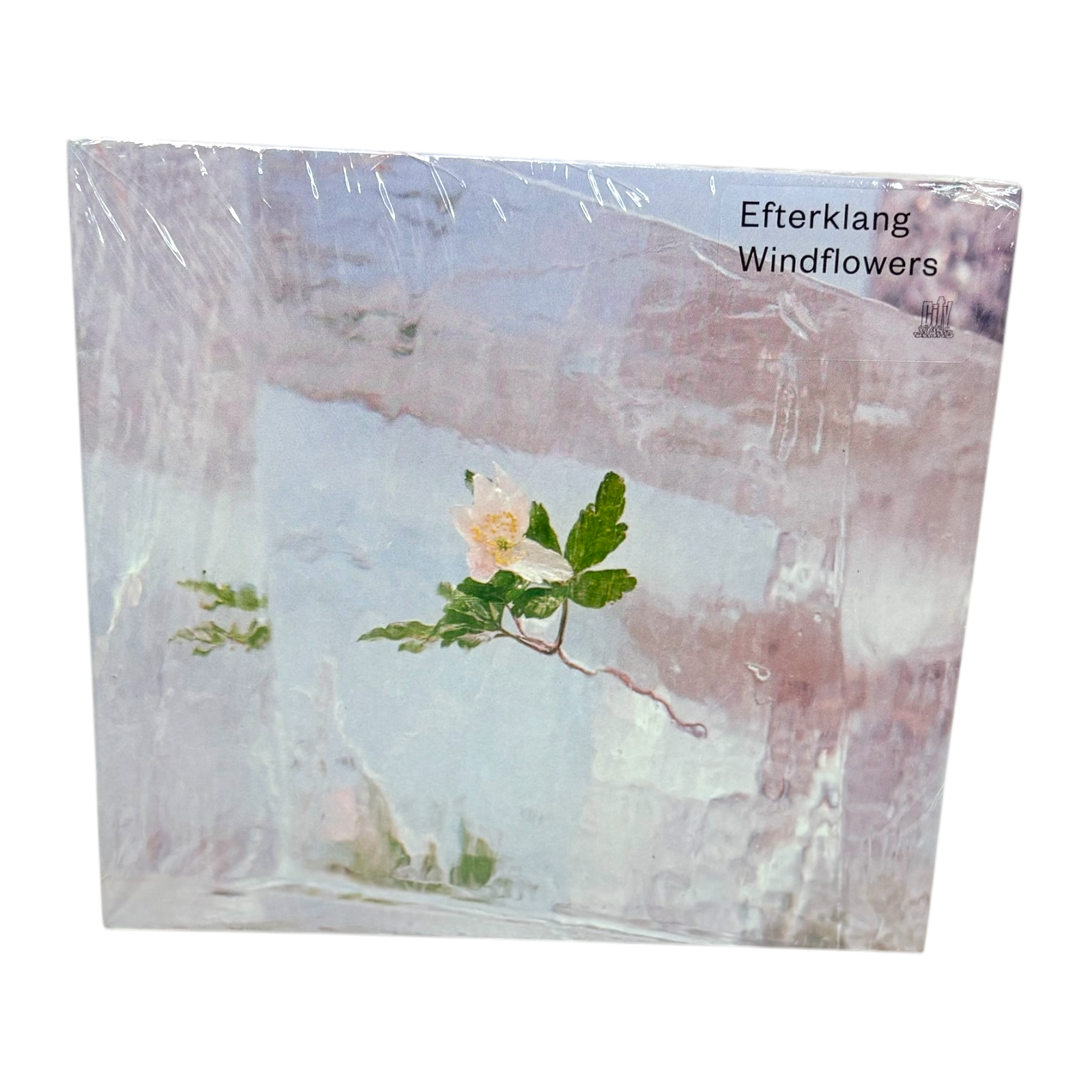Windflowers by Efterklang (CD, 2021) NEW SEALED