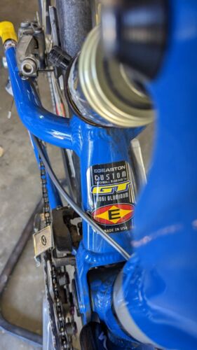 2001 GT iDrive Team Issue Mountain Bike: size L - Picture 16 of 17
