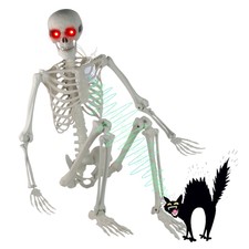 5.5FT Halloween Skeleton Realistic Life Size Human Skeleton with LED Glowing Eye
