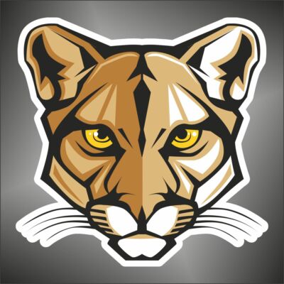 AUFKLEBER Deutsche  Puma  decal STICKER 
