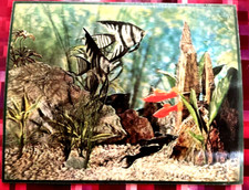 VARI-VUE LENTICOLARE 3D PESCI ACQUARIO ANNI 60 FOTO 8 X 10 NOS OTTIME CONDIZIONI