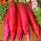 Seeds Radish Red Giant Rare Vegetable Garden NON GMO Organic Ukraine