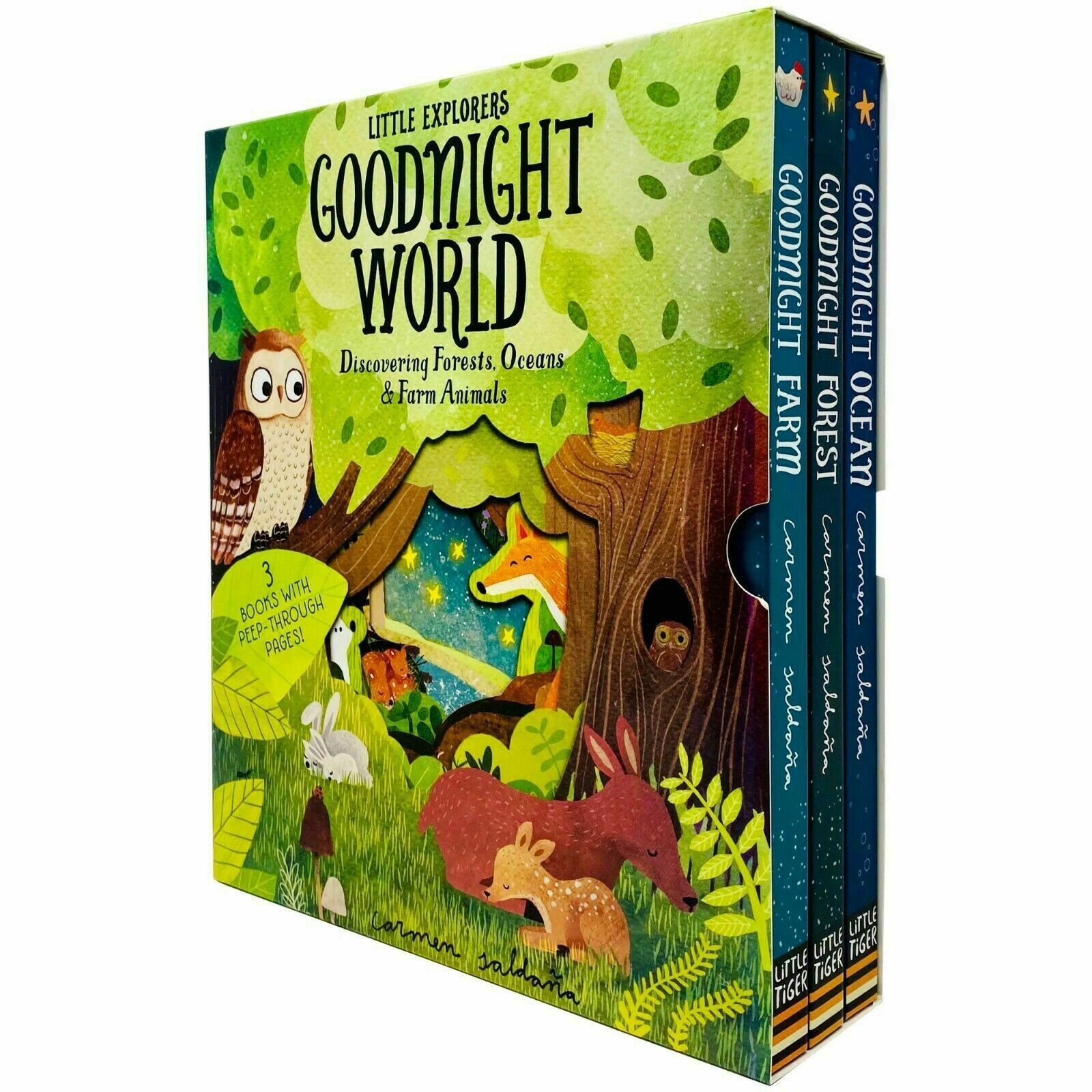 Peep Inside Goodnight World Little Explorers Series 3 Books Collection Box Set - Image 6