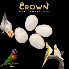 COCKATIELS FAKE EGGS Solid Plastic FOR RINGNECK, Dummy DOVE STOP LAYING Ct 4