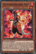 Yu-Gi-Oh: Suri Salamangrande | SOFU-FR002 | Commune | NM | FR
