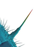 Peter Gabriel: Peter Gabriel: And I'll Scratch Yours - Jpc Schallplatten - (Cd