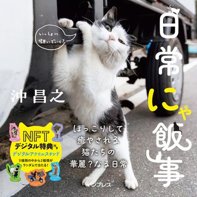Cat Daily Life Hardcover Japan Import Excellent